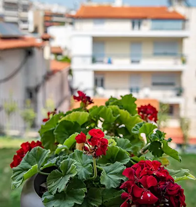 apartments courtyard airbnb booking